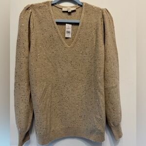LOFT Women's Sparkling V-Neck Sweater